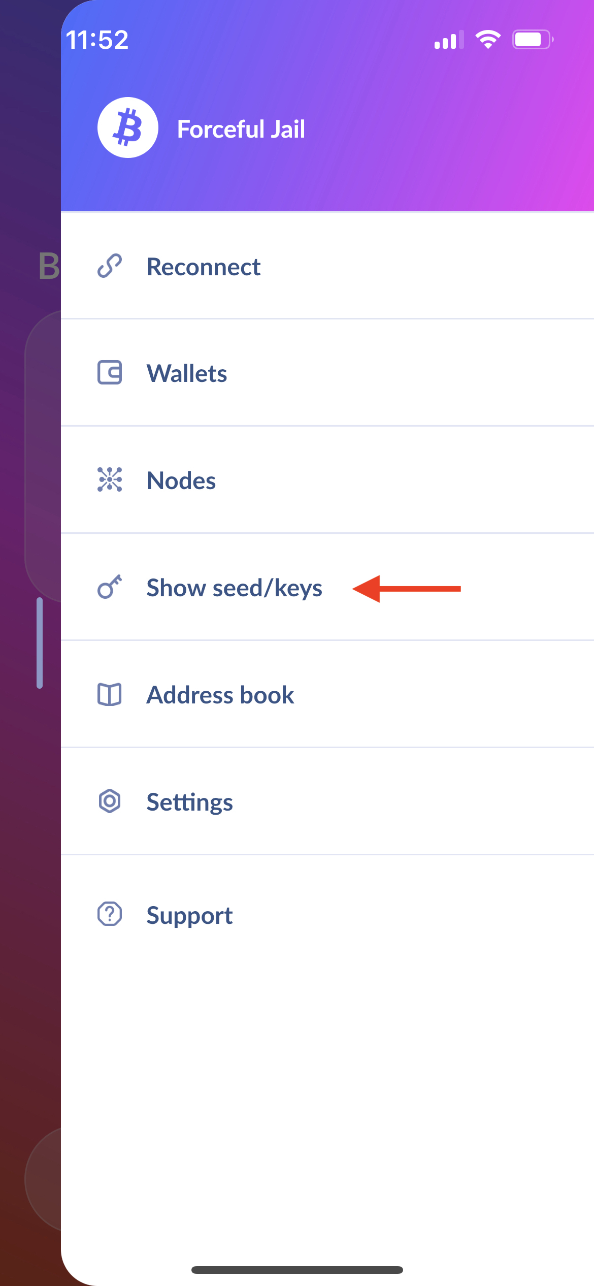 Click "Show seed/keys"